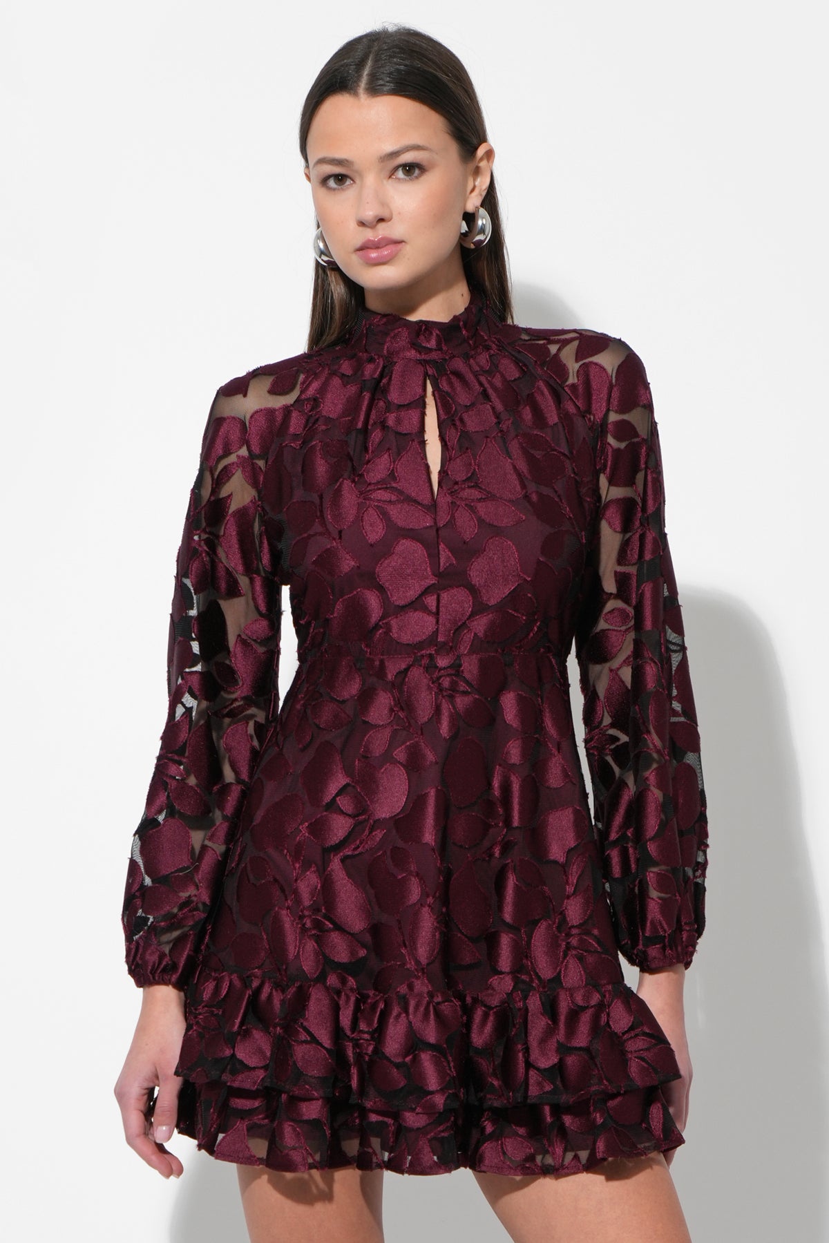 Elinor Velvet Burnout Mock Neck Fit and Flare Dress