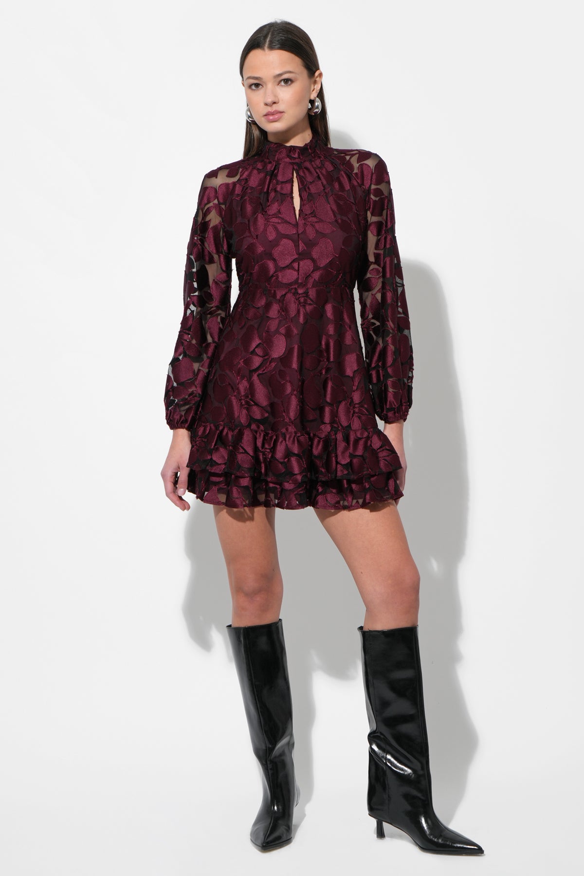 Elinor Velvet Burnout Mock Neck Fit and Flare Dress