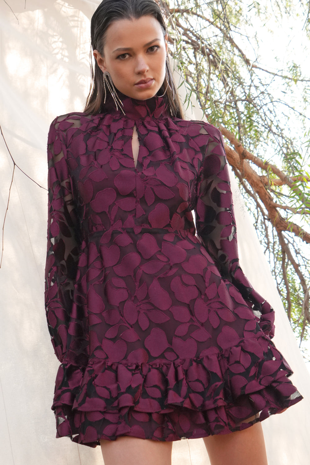 Elinor Velvet Burnout Mock Neck Fit and Flare Dress
