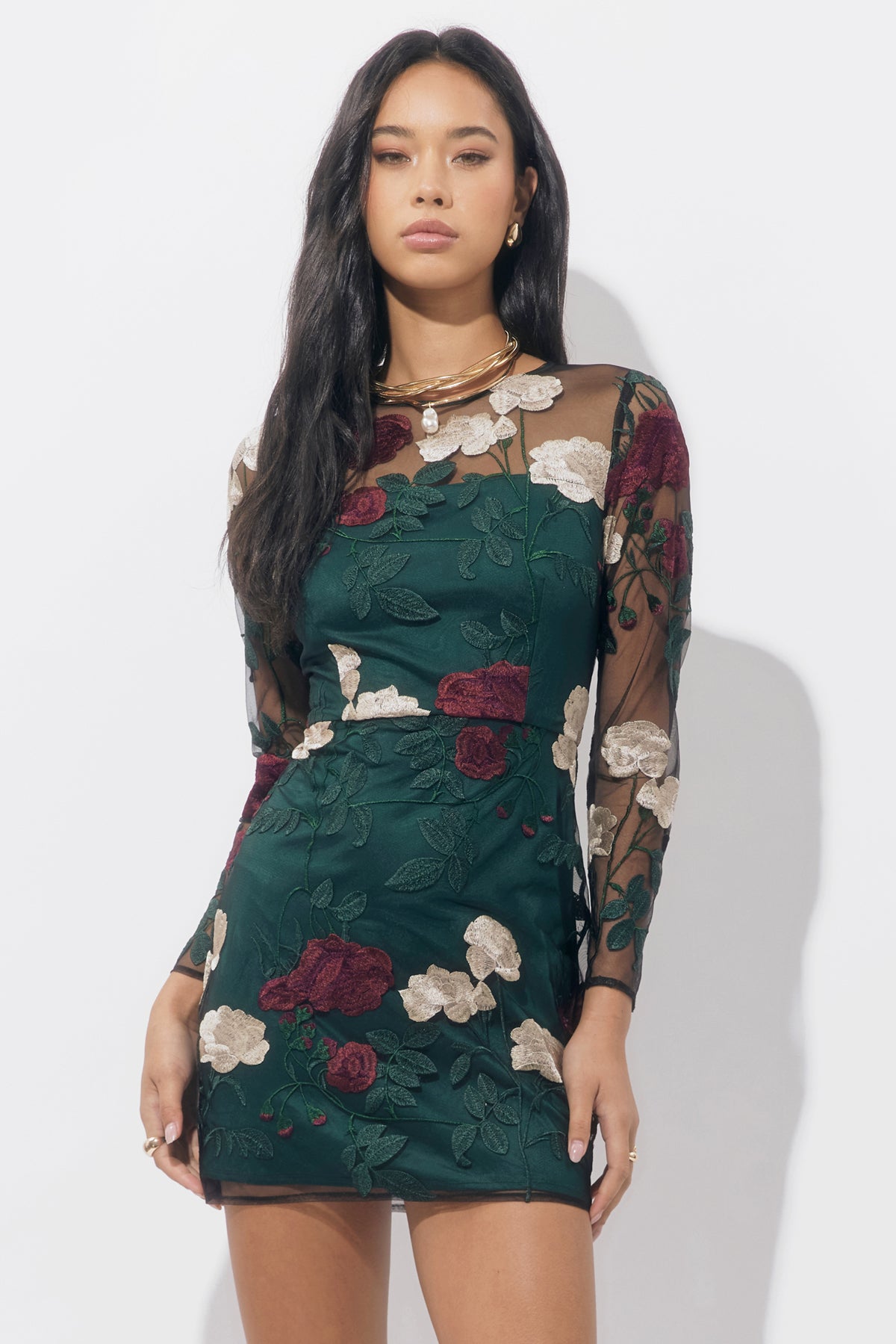 Noia Embroiled Mini Dress