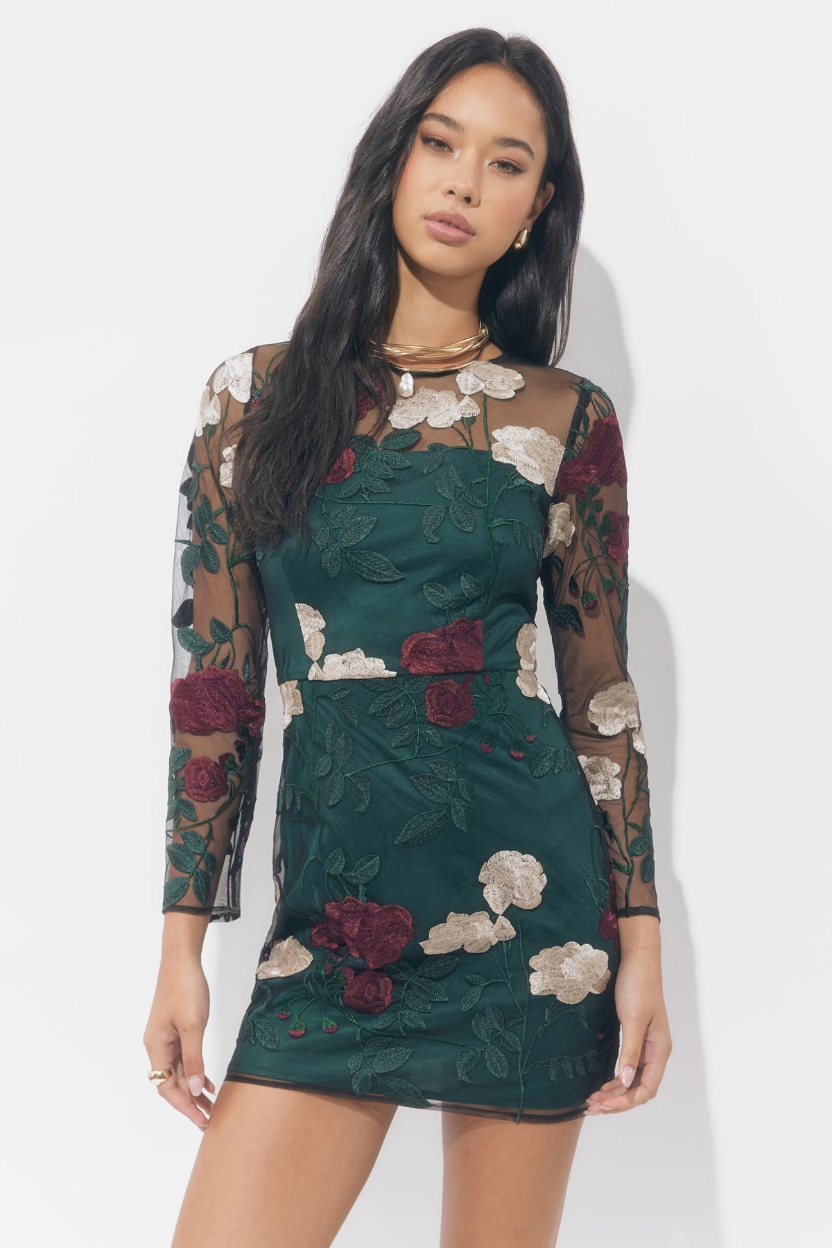 Noia Embroiled Mini Dress