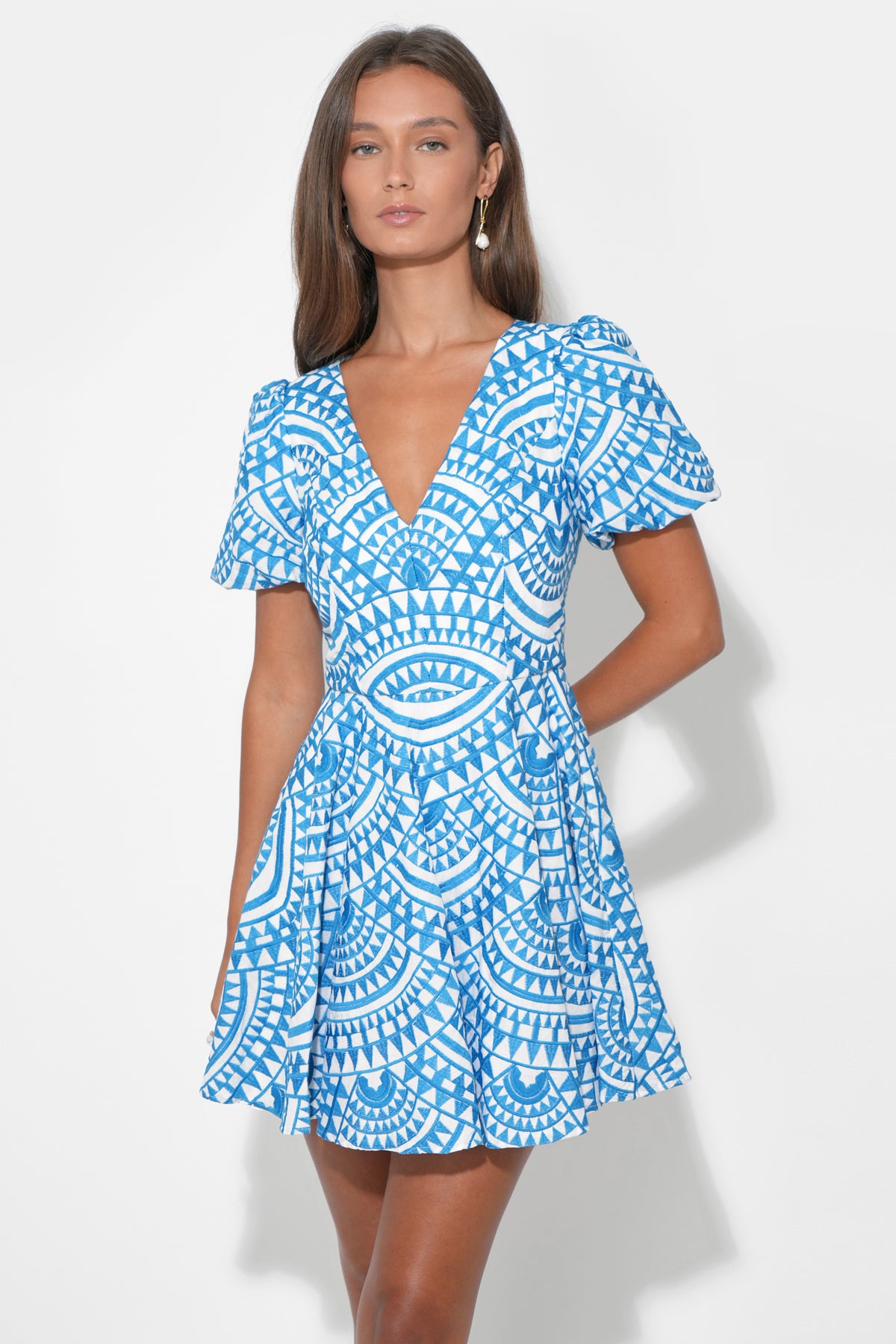 Genesis Fit & Flare Embroidery Mini Dress