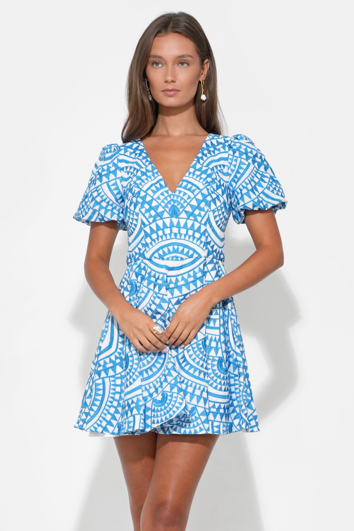 Genesis Fit & Flare Embroidery Mini Dress