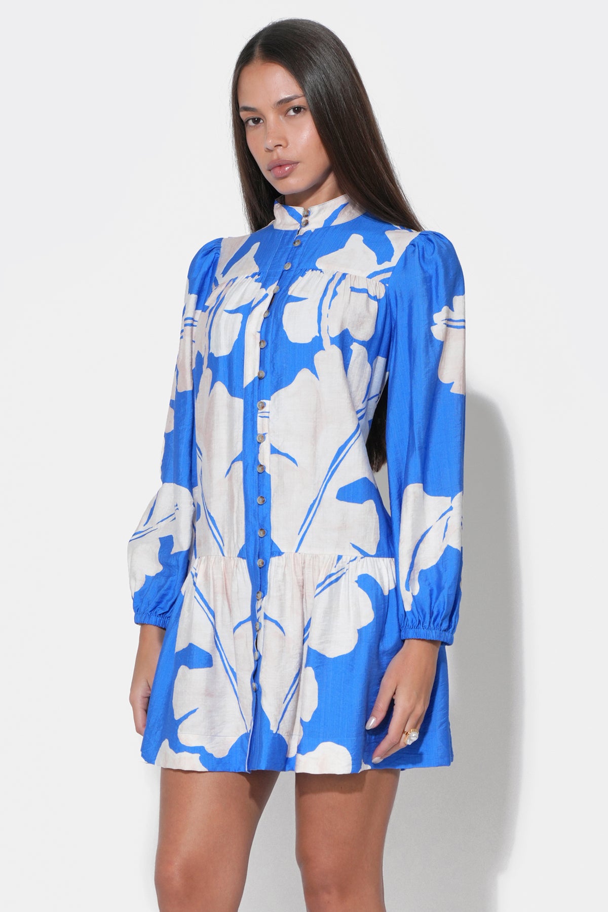 Ella Long Sleeve Mini Dress