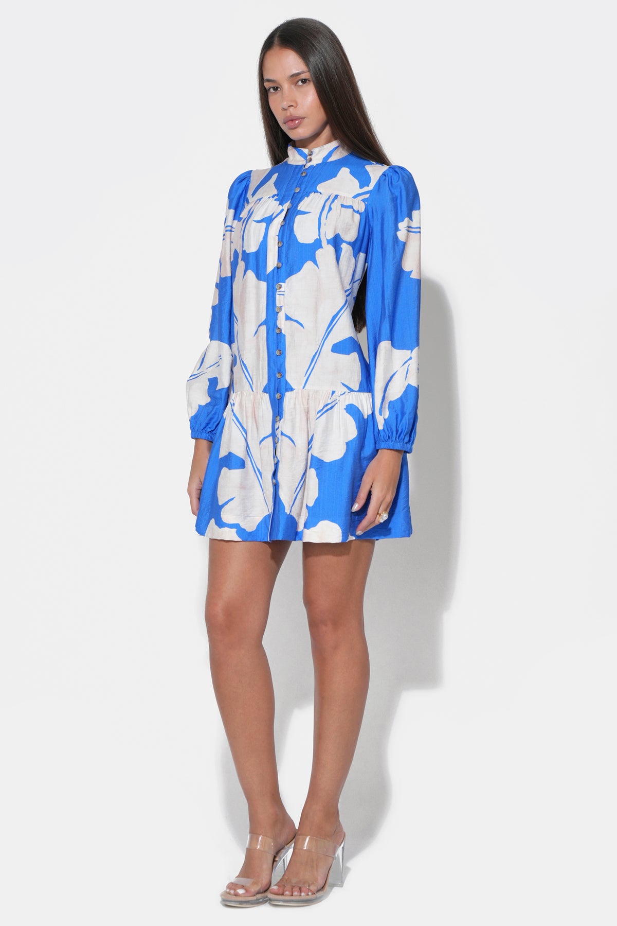 Ella Long Sleeve Mini Dress