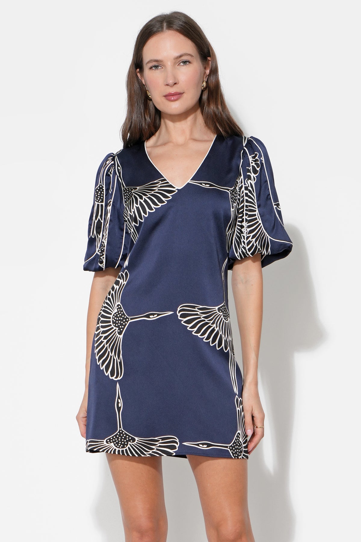 Sylvie Mini Dress F2512D6773