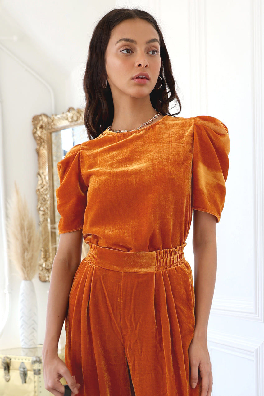Ariel Puff Sleeve Velvet Top