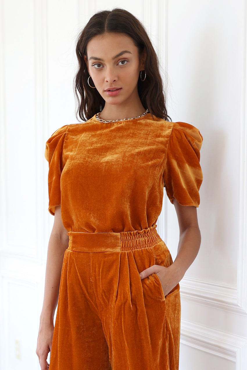 Ariel Puff Sleeve Velvet Top
