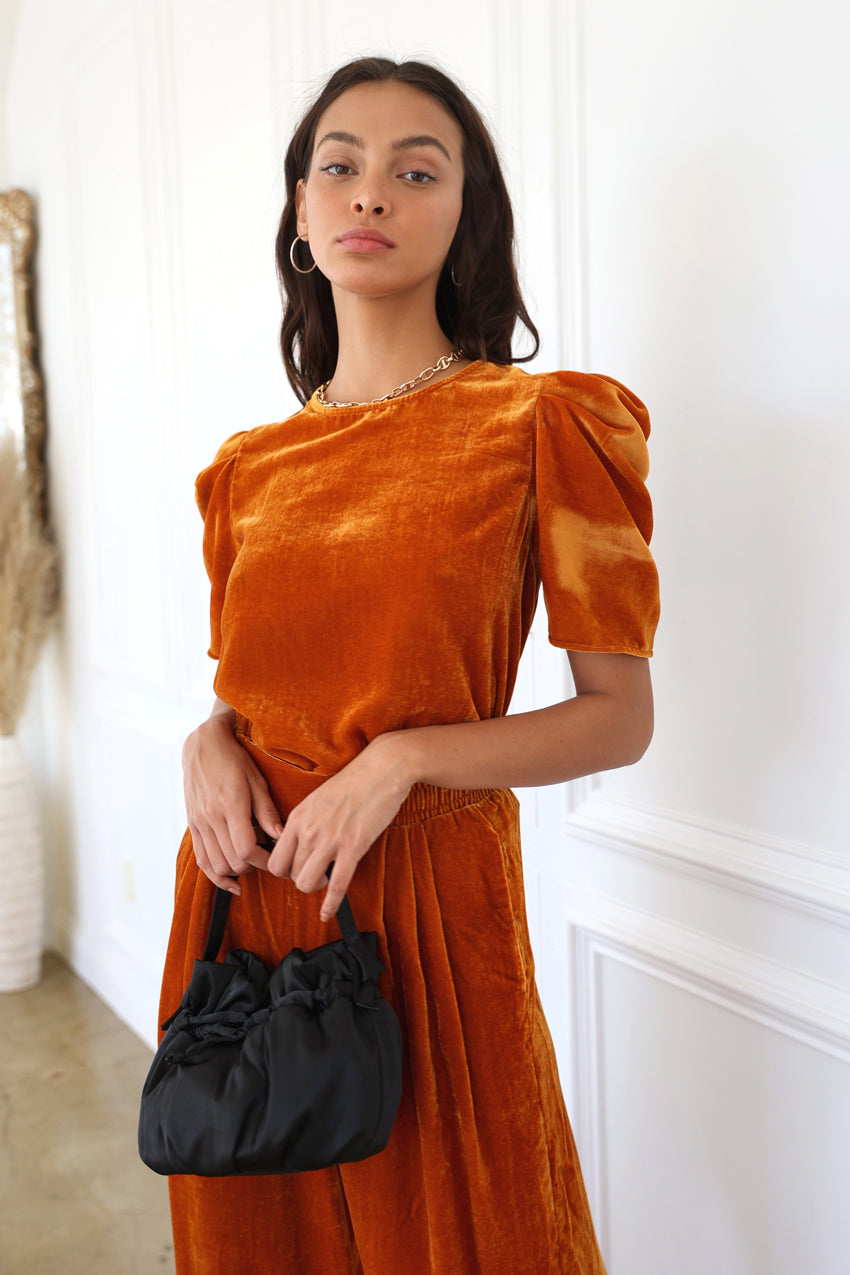 Ariel Puff Sleeve Velvet Top