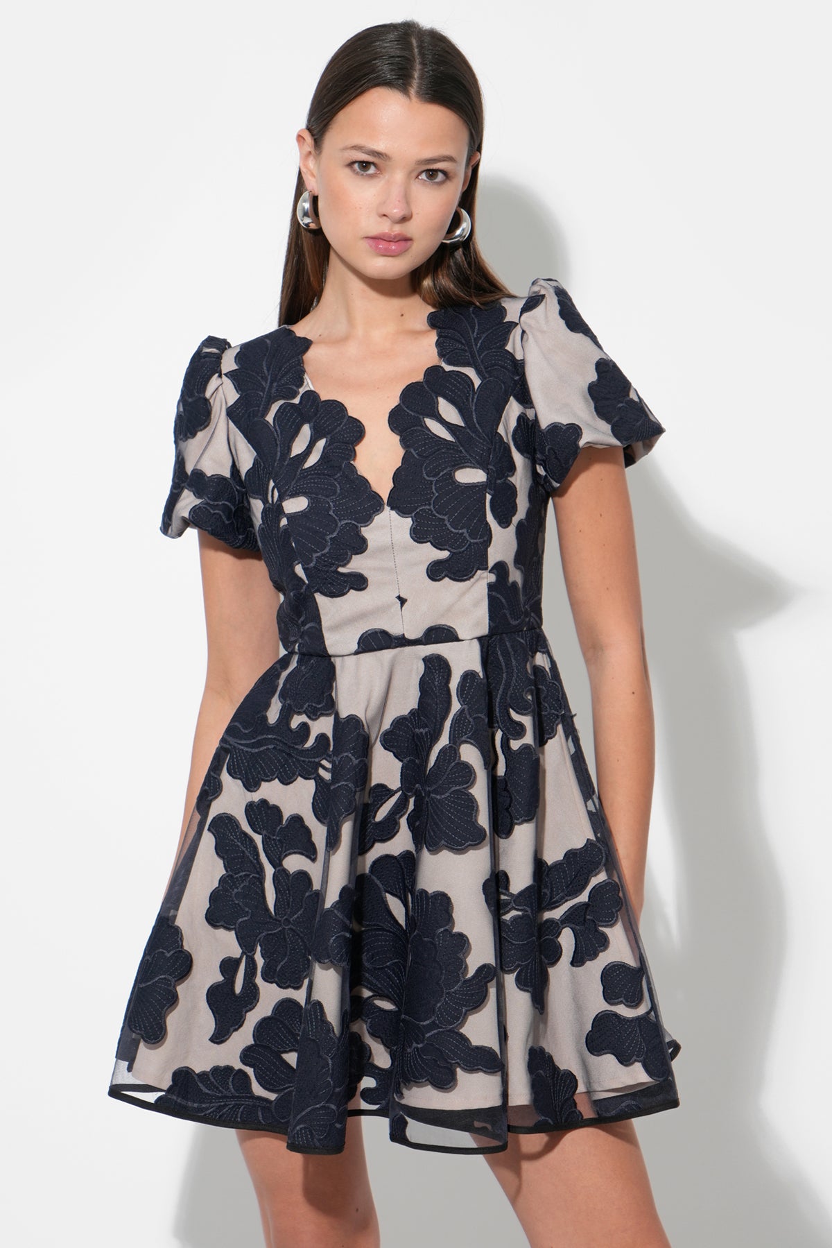 Agnes Embroidered Puff Sleeve Mini Dress F258D6579