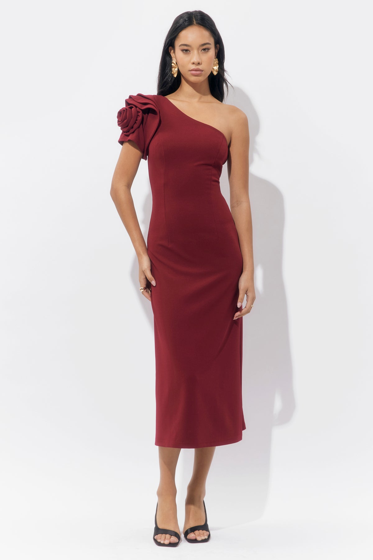 Dion One Shoulder Floral Applique Maxi Dress F259D6634