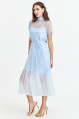 Anais Organza Sheer Dress