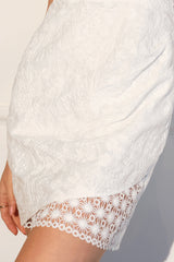 Aniston Lace Peekaboo Embroidered Dress