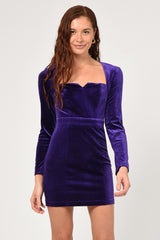 Eunice Velvet Bodycon Mini Dress