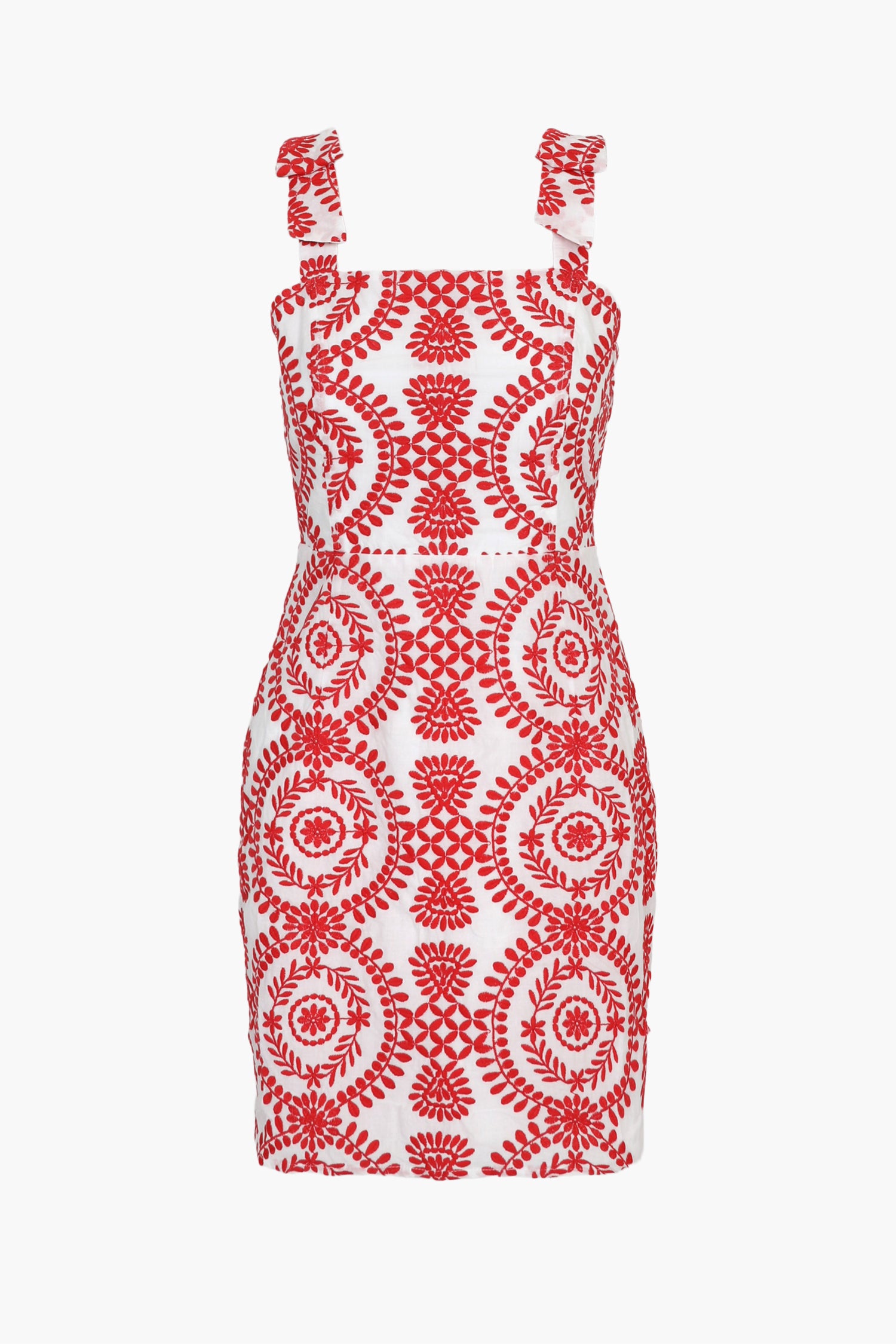 Carrie Embroidered Mini Dress