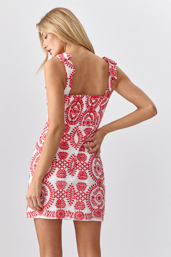 Carrie Embroidered Mini Dress