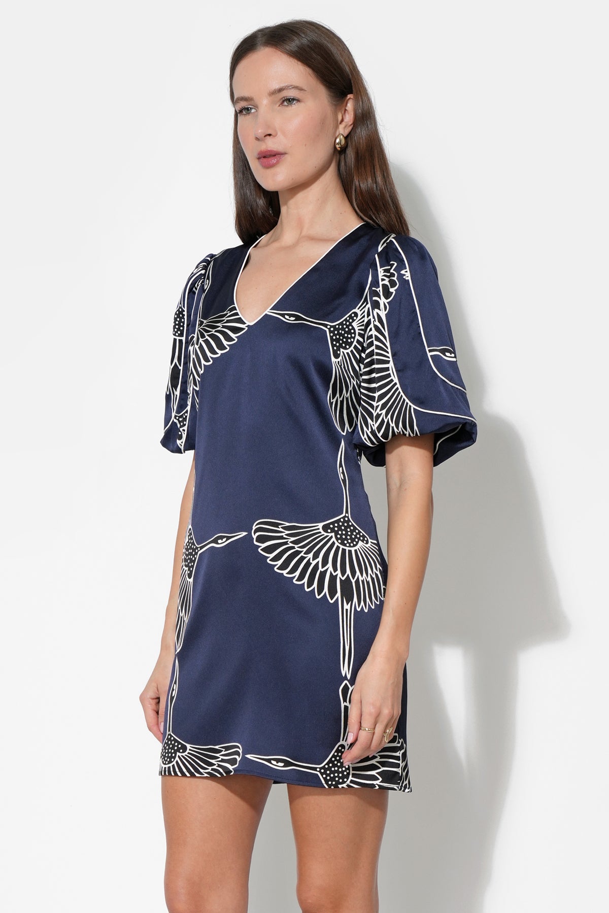 Sylvie V-Neck Bubble Sleeve Mini Dress