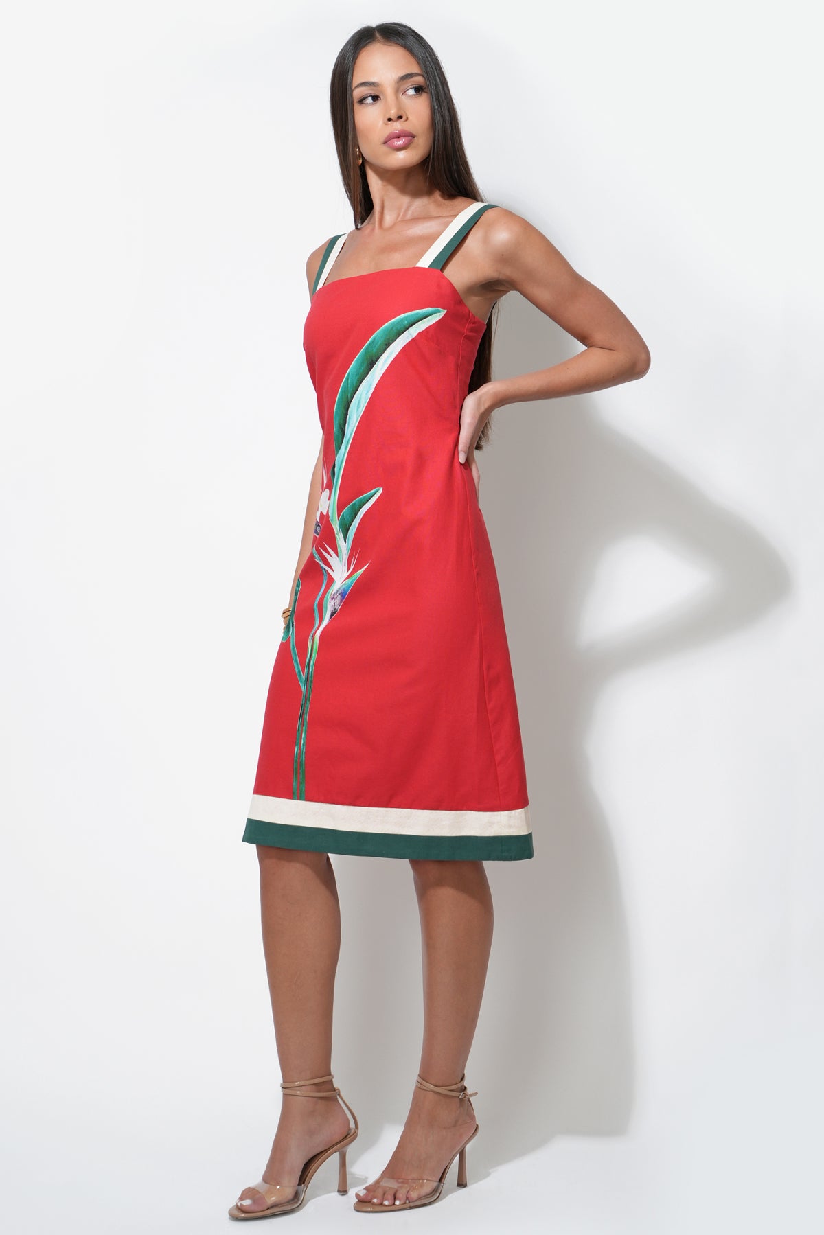 Birds of Paradise Midi Dress