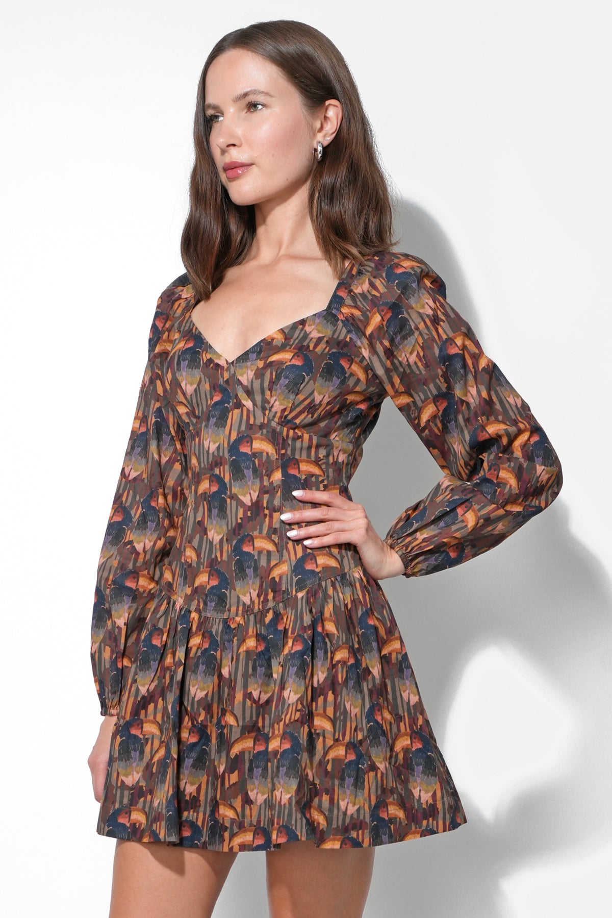 Polly Printed Fit and Flare Dress
