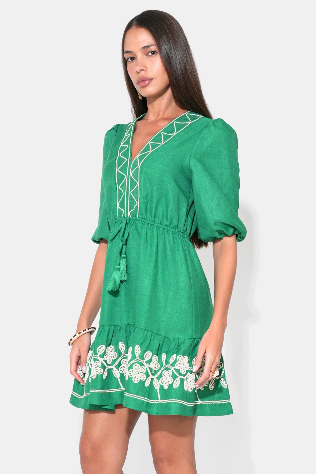 Taylor Embroidery Ruffle Hem Mini Dress