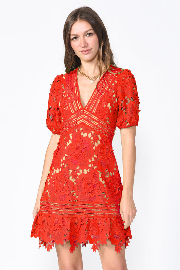 Adrian Crochet Lace Dress