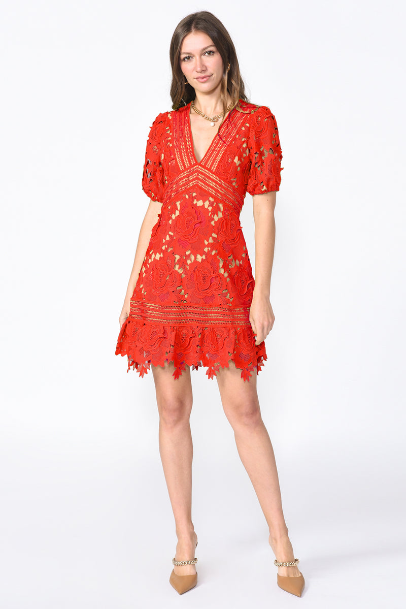 Adrian Crochet Lace Dress