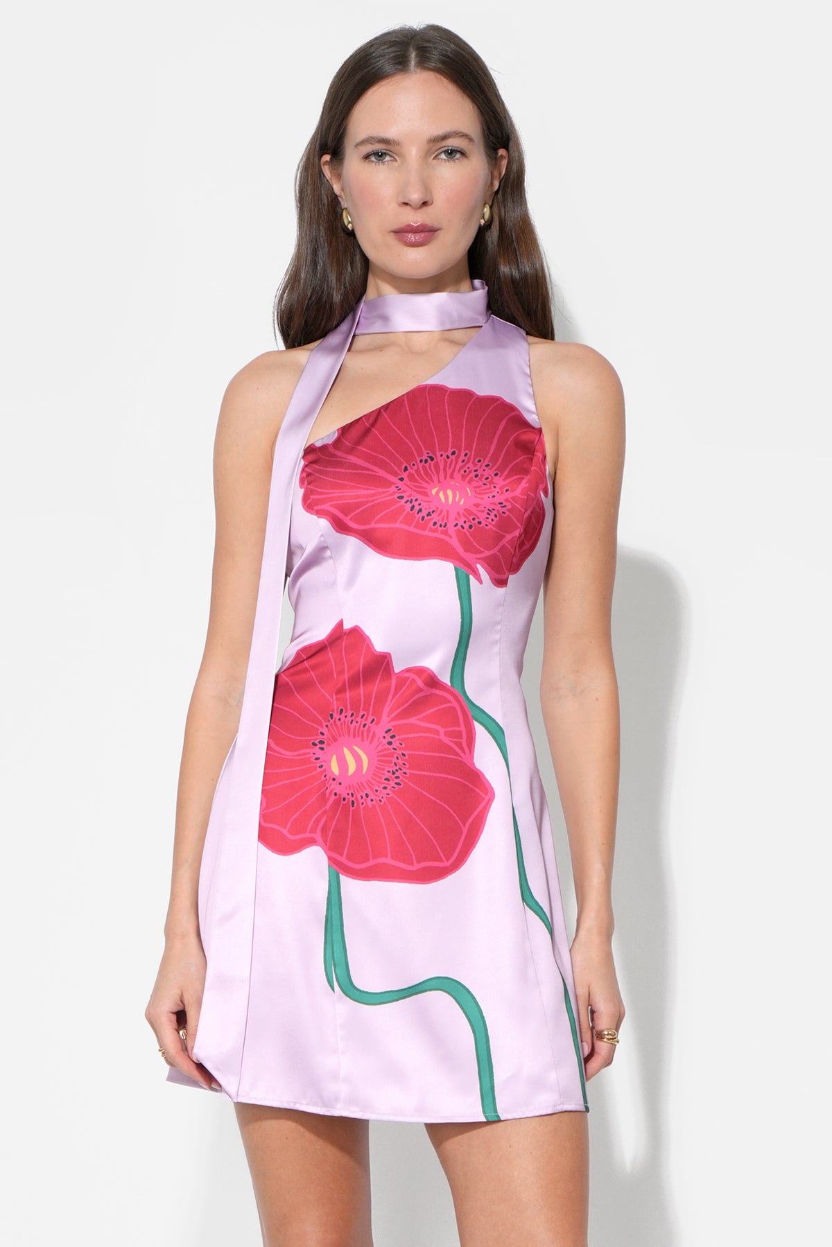 Kinsley Scarf Neck Printed Mini Dress F262D6884