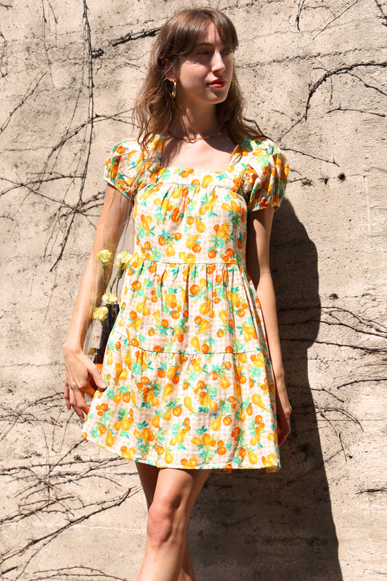 Lora Gingham Cap Sleeve Dress